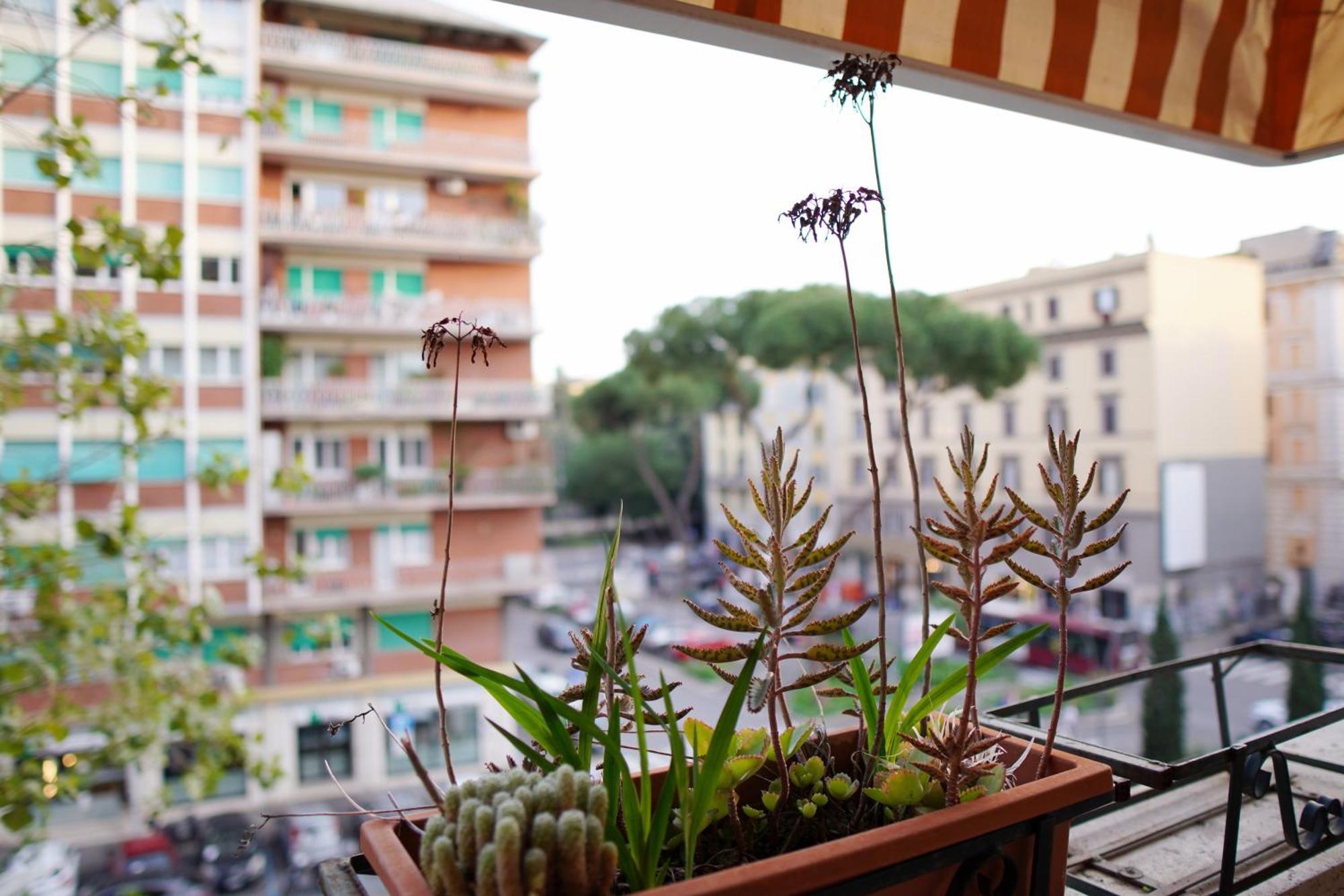 Dolce * Roma